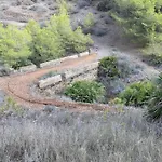 Punta Prima Oasis Fase 9 Lejlighed *