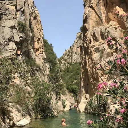 Lejlighed Punta Prima Oasis Fase 9 *