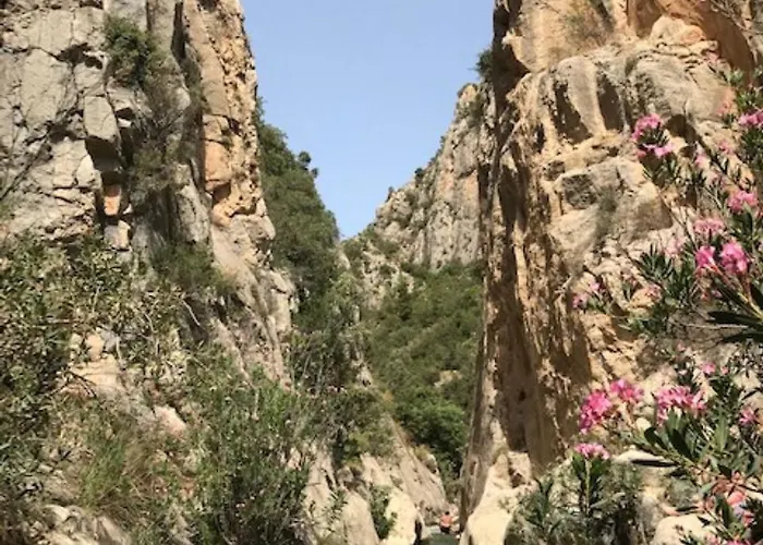 Daire Punta Prima Oasis Fase 9 *