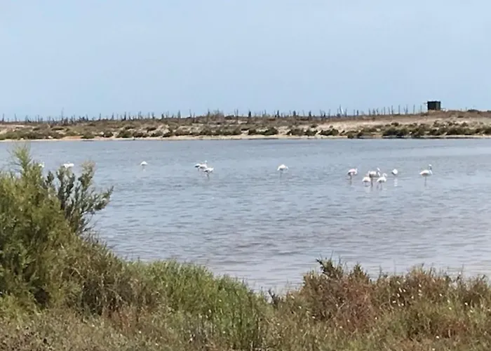 Punta Prima Oasis Fase 9 *