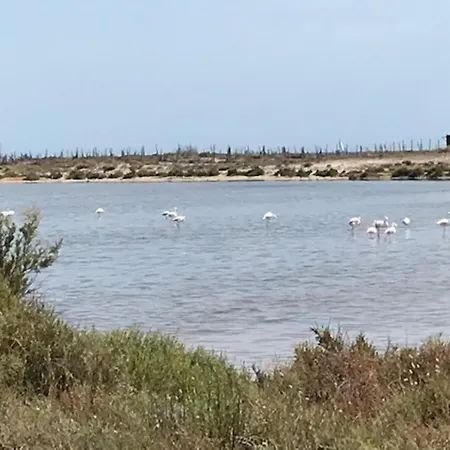 Punta Prima Oasis Fase 9 *